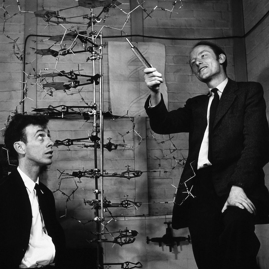 Francis Crick, Rosalind Franklin, James Watson, and Maurice Wilkins |  Science History Institute