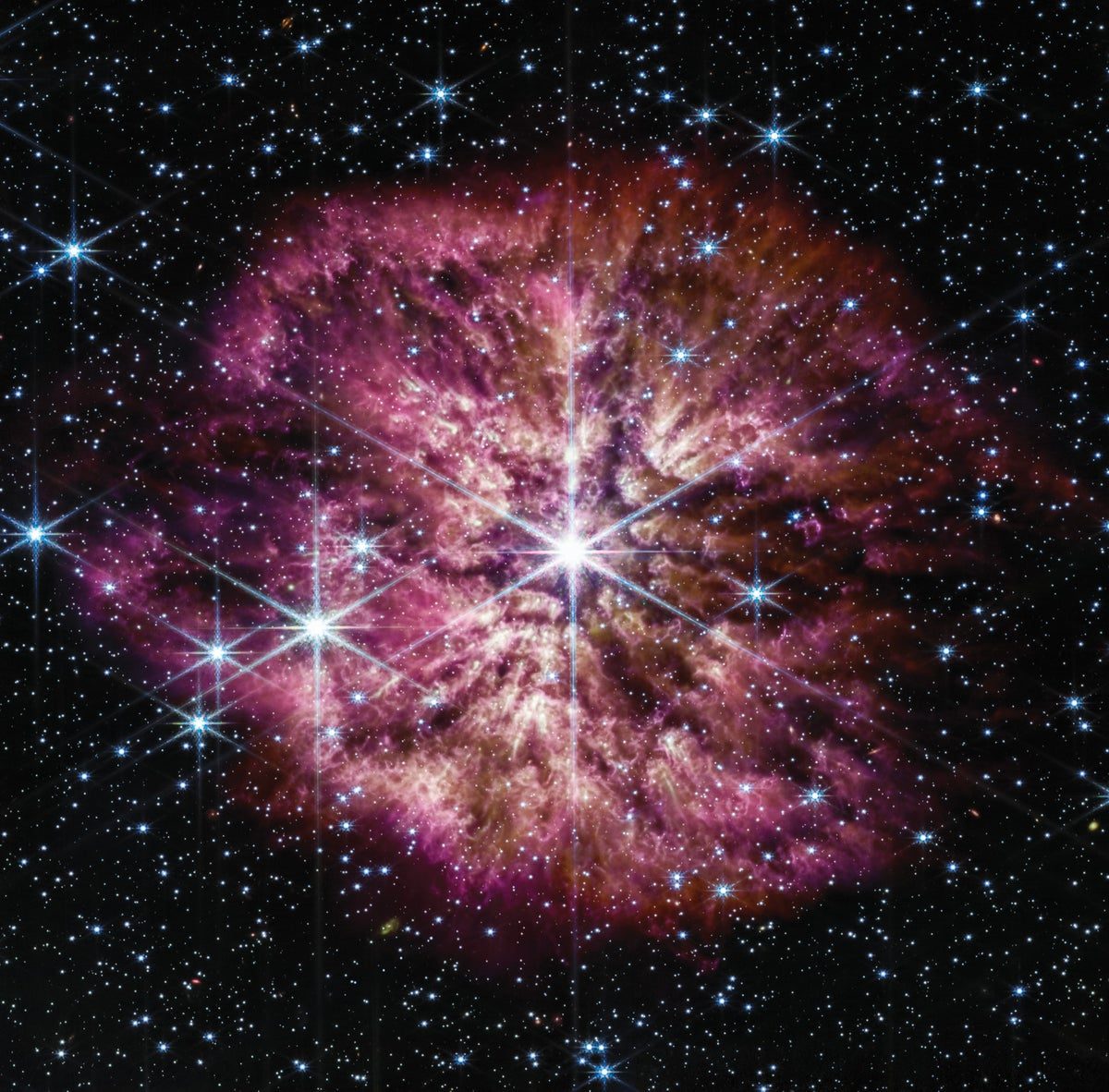 Rare, Dust-Shrouded Dying Star Revealed in New JWST Image | Scientific  American