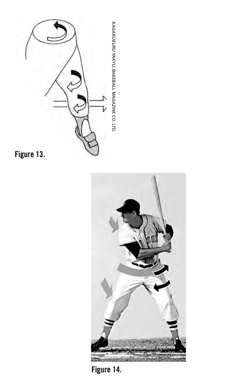 Hitting Mechanics: The Twisting Model and Ted Williams's “The Science of  Hitting” – Society for American Baseball Research
