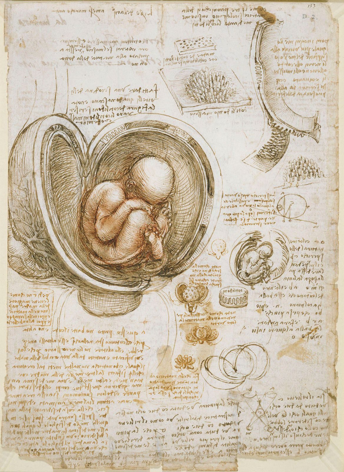 The Virgin of the Rocks | Leonardo da Vinci Painting | Britannica