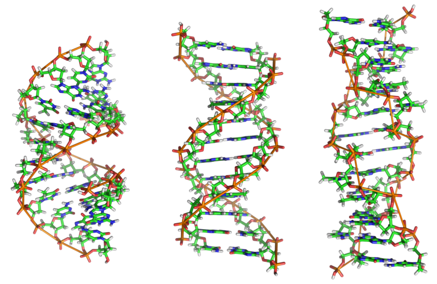 Using DNA to assemble a protein lattice
